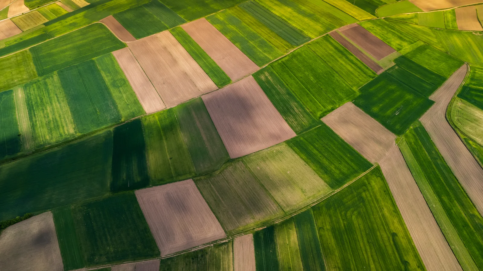 AI agriculture intelligence layer
