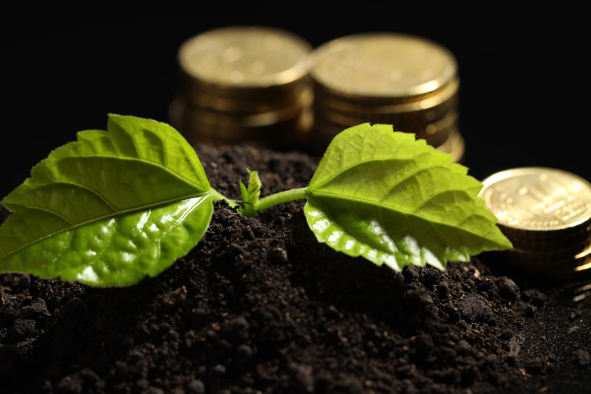 Solar project finance readiness