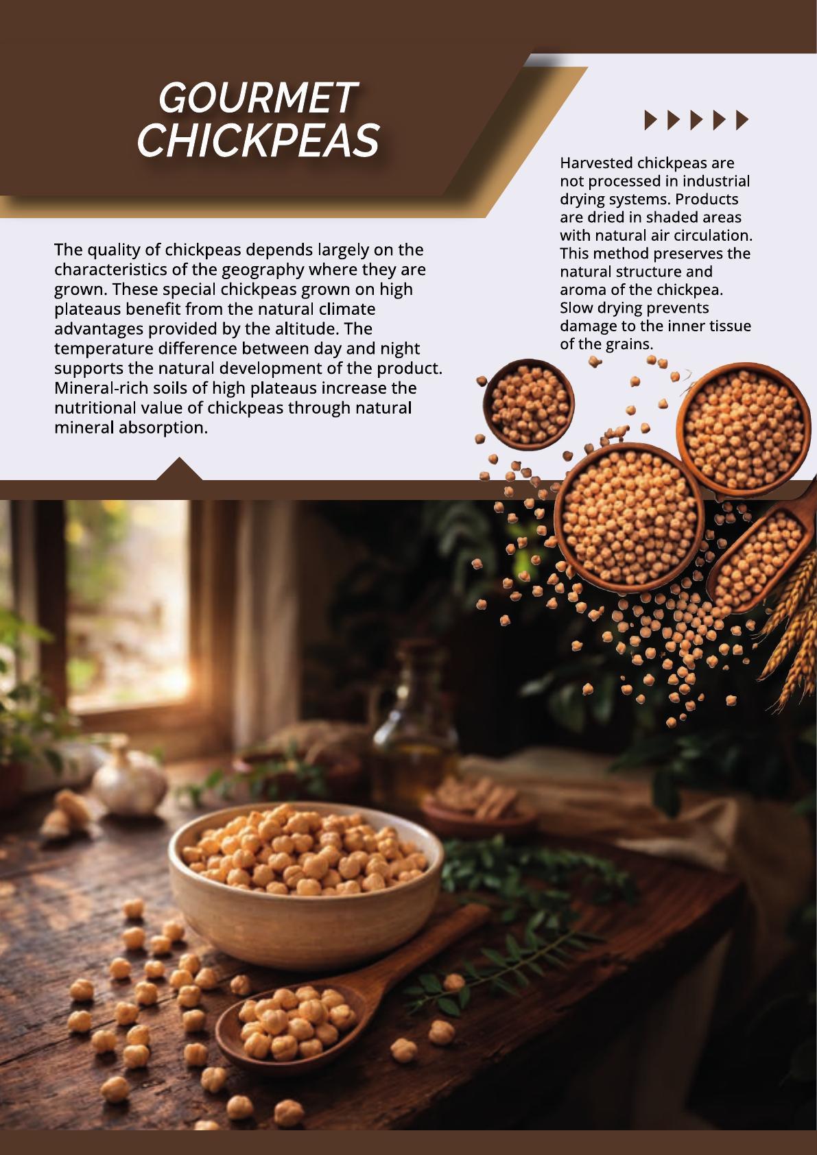 TNC Gourmet Chickpeas - Export Ready Legume Supply
