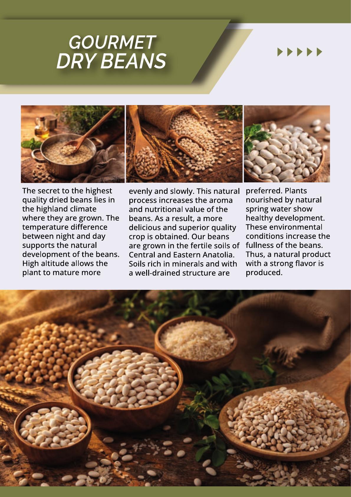 TNC Gourmet Dry Beans - Packaged and Bulk Export Supply