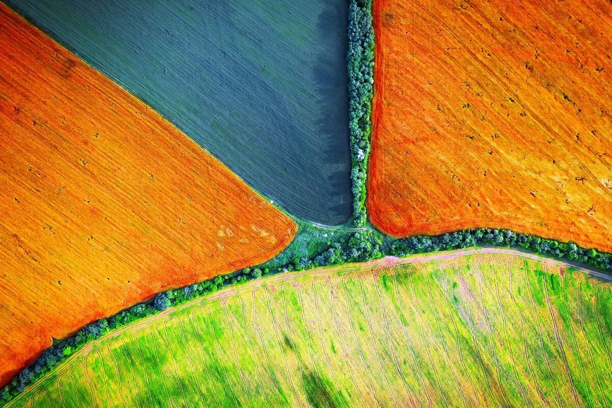 Agricultural field intelligence and crop monitoring