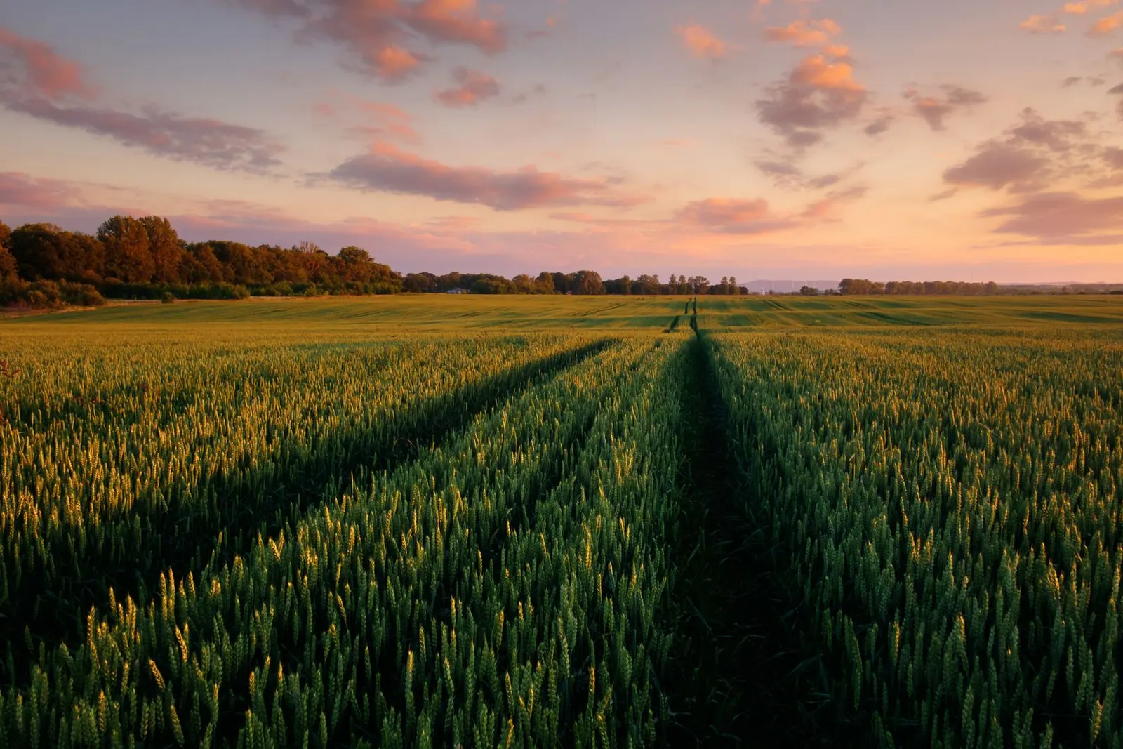 Agricultural logistics moving products through a cultivated landscape