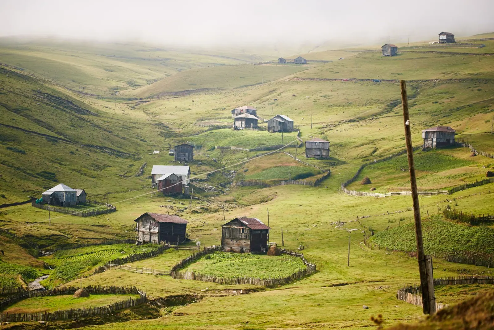 Rural agriculture ecosystem with connected production activity