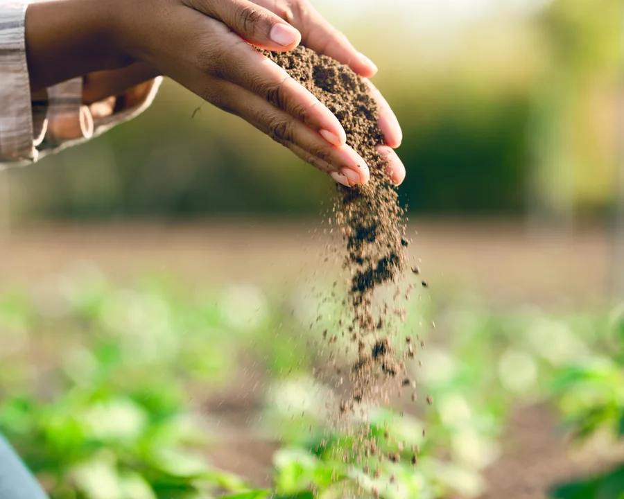 Soil held in farmers hands for evidence and climate preparation