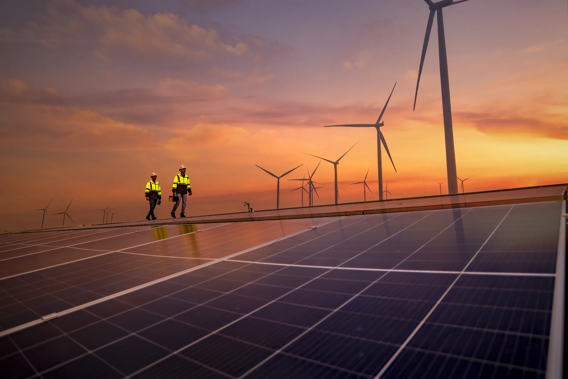Renewable energy specialists reviewing a solar installation
