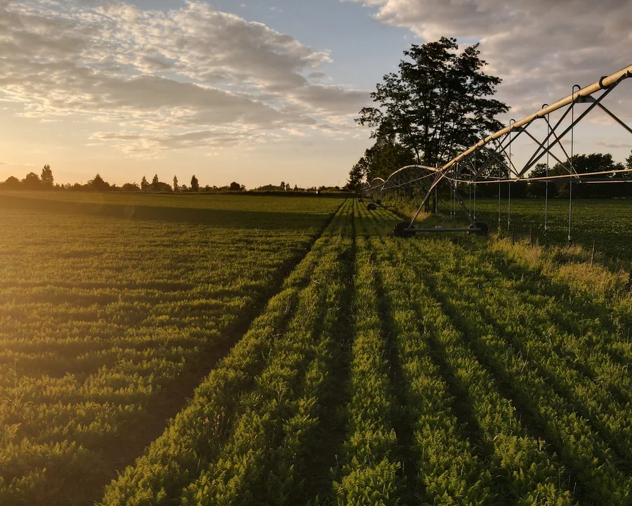 Tractor working cultivated land for agricultural production