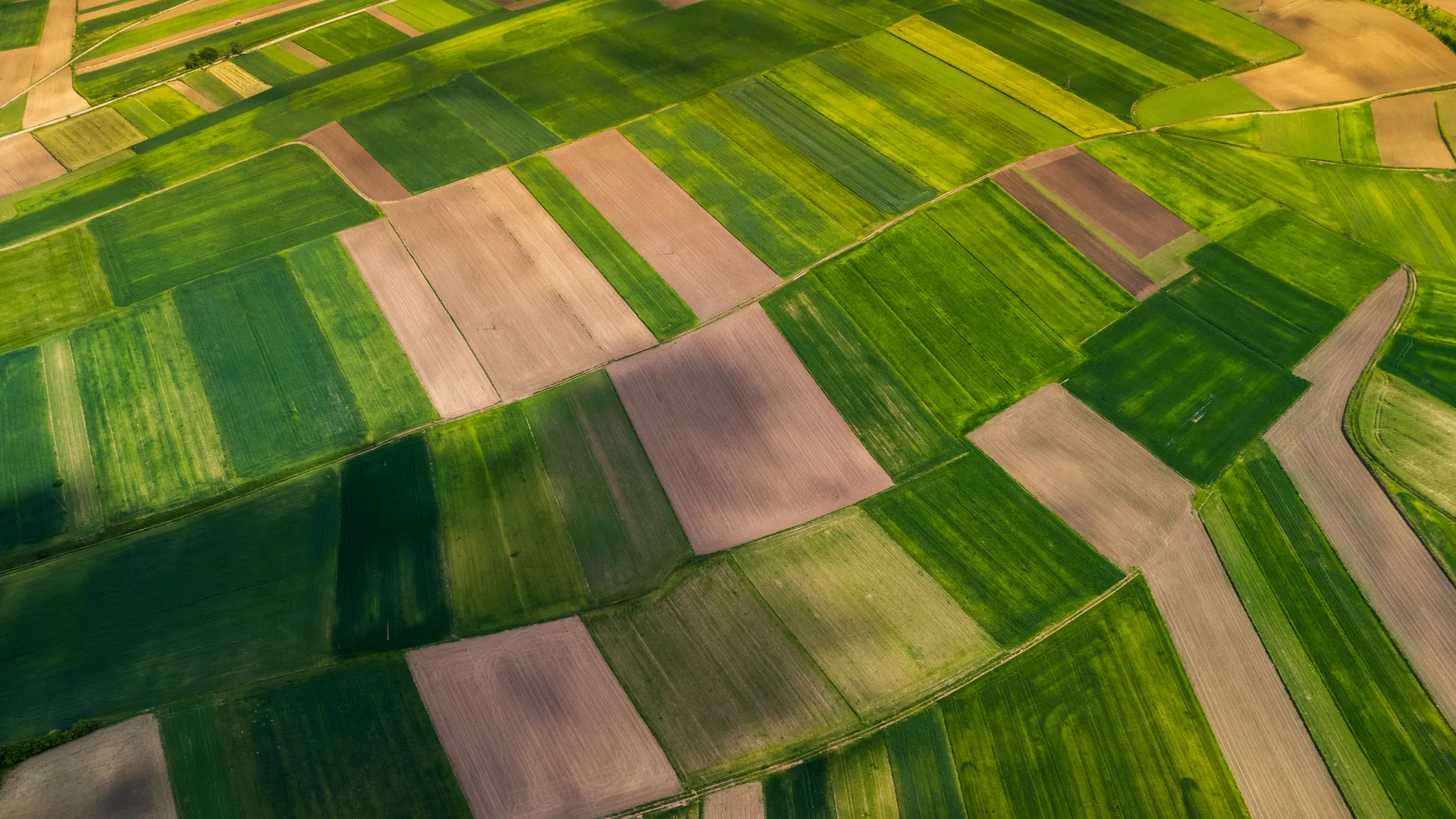Cold-chain infrastructure — Food systems · Emerging markets