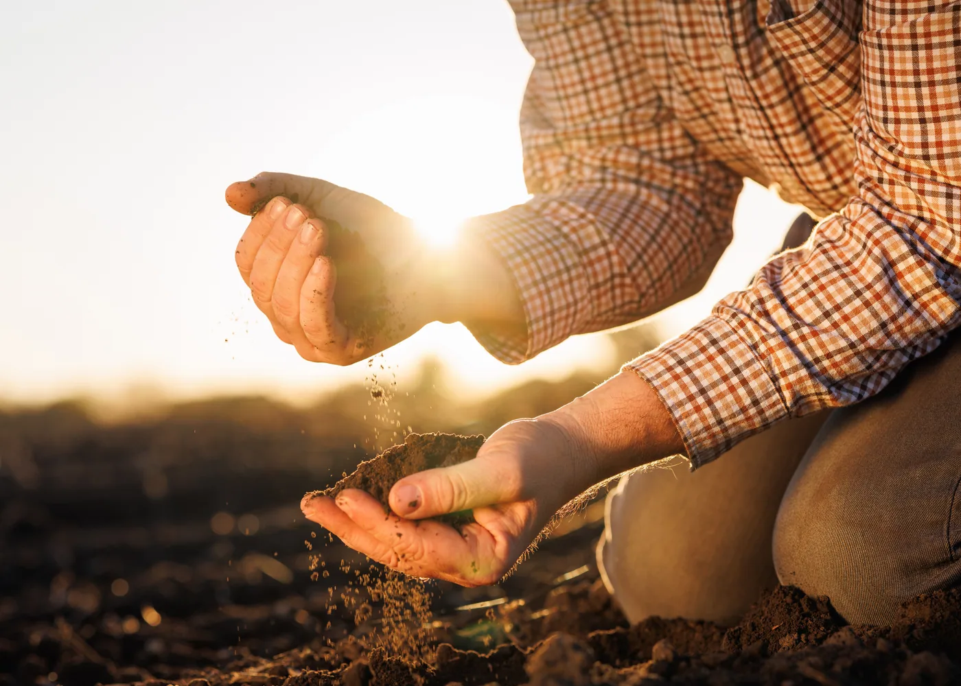 Regenerative agriculture readiness — MRV preparation · Multi-country